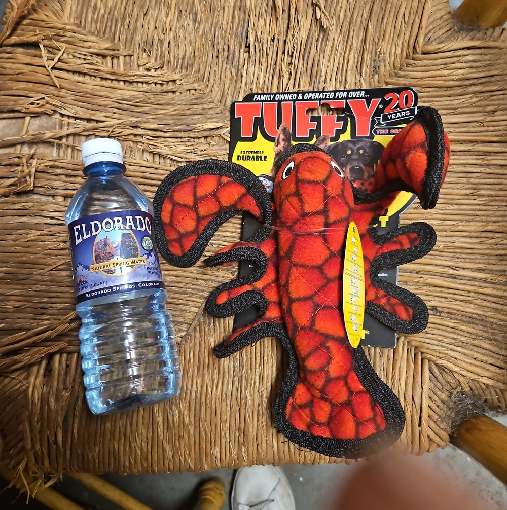 Red Lobster Plush Dog Toy - Brand